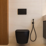 Douchette à main noir mate