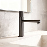 Mitigeur de vaque gris brossé